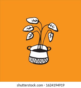 Home Decor Plant. Vector hand drawn isolated objects. Icons in sketch style.