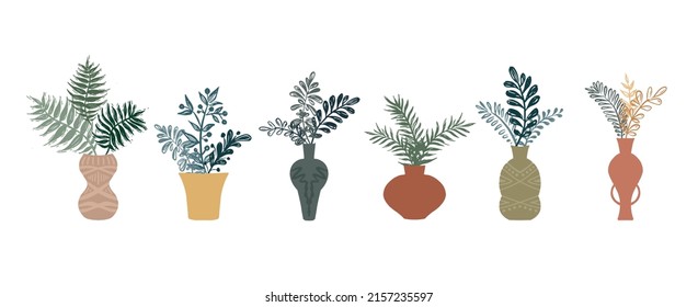Home decor with plants, hand drawn illustration.