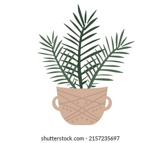 Home decor with plants, hand drawn illustration.