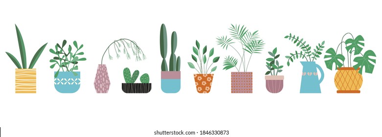 Decoración casera con plantas. Ilustración vectorial en blanco.