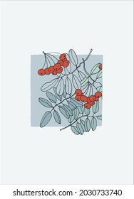 Home decor printable line art. Hand drawn vector illustrations of rowan tree branches and ashberries on blue background. Contemporary design for prints, posters, cards, textile