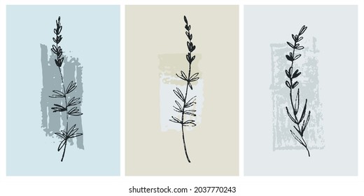 Home decor printable line art. Set of hand drawn lavender twigs on backgrounds with brushstroke textures. Contemporary design for prints, posters, cards, textile