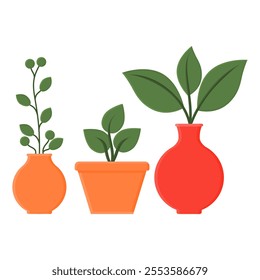 Home Decoration Flower Vase Vector. Various Beautiful Flower Vases. House Plant Design.