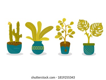 Decoración del hogar e ilustración de vectores de plantas interiores