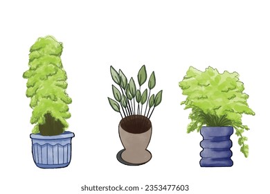 Home decoration Plant illustration, high quality