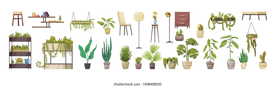 Home decorative deciduous green plants in pots and planters horizontal set isolated vector illustration