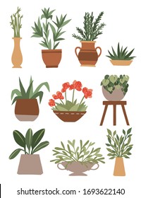 Home decorative and outdoor garden plants in pots set green plants flat vector illustration isolated on white background