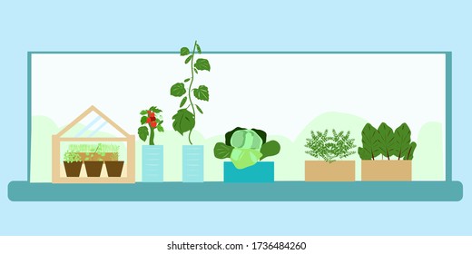 Home farm on the windowsill in an apartment or house