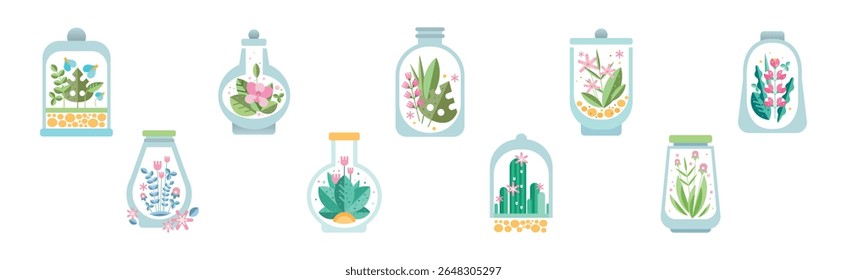 Home Florarium as Glass Jar with Growing Plant Vector Set
