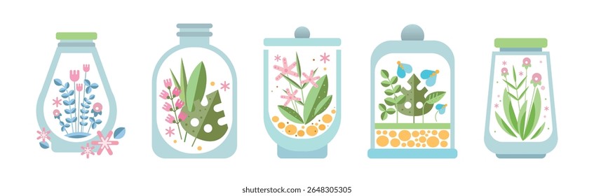 Home Florarium as Glass Jar with Growing Plant Vector Set