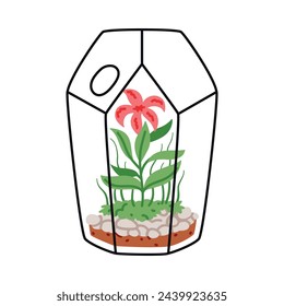 Home Florarium with Plant in Glass Transparent Vessel Vector Illustration