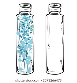 Home florist herbarium for memory. Hand draw bottle for storing memorable things. Glass jar with a sprig of pink flowers inside. Terrarium for plants and dried flowers in oil. Vector illustration.