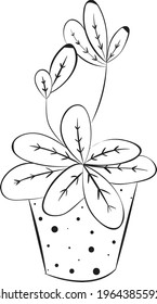 Home flower cactus vector graphics