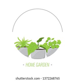 Home flower garden concept. Potted plants. Decoration Design Element. Banner, flyer, print design. Vector illustration