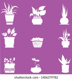 Home flower pattern of white items on purple background