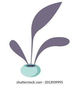 home flower, plant in a pot, Vector realistic succulent in a pot. Ornamental houseplant.