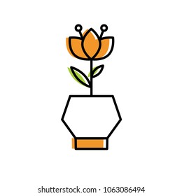 home flower in pot