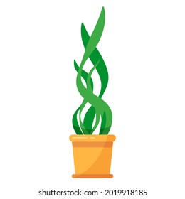 home flower in a pot, flat vector illustration isolated.