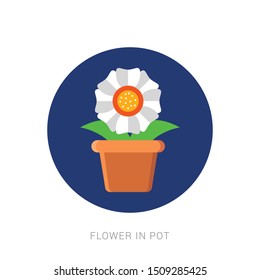 Home flower in pot vector design illustration isolated on white background