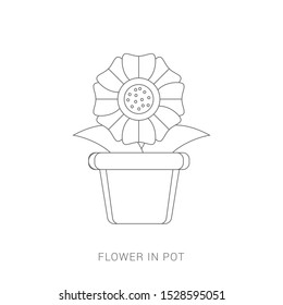 Home flower in pot vector design illustration isolated on white background