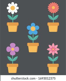 Home Flower In A Pot Vector Illustration On A Gray Background