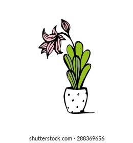 Home flower vector illustration