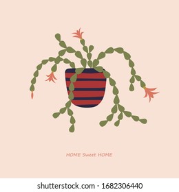 
Home flowers. Flower Decembrist or Schlumberger. Minimalism, abstractionism, trend, pattern. Objects of a nice cozy house.