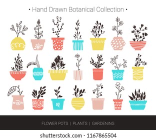 Home flowers, plants in pots. Botanical hand drawn vector illustrations for logo design, branding, fashion textile print, invitation card. Cute cartoon flowers and herbs isolated on white background.