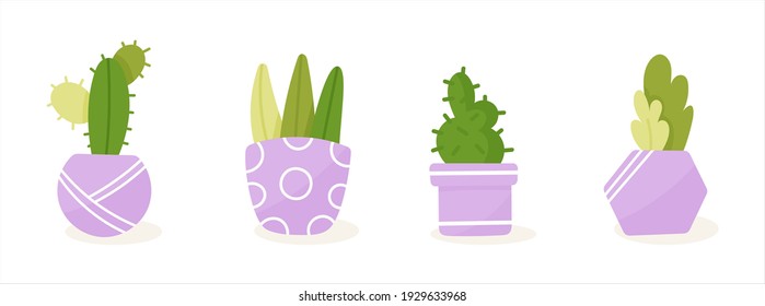 Home flowers in a pot vector on white background