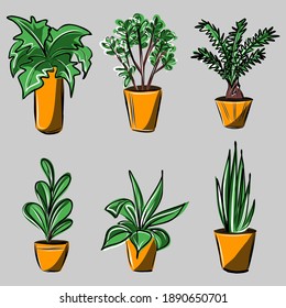 Home flowers in pots. Different types of plants in vases. The interior and decor. Vector isolated image.