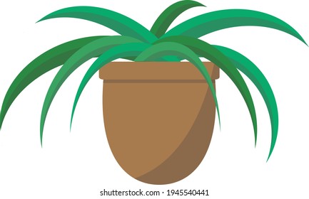 Home flowers. Flowers in pots. Flat design.