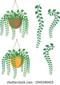 Home flowers. Flowers in pots. Flat design.