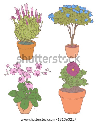 Home flowers in pots vector drawings set isolated on white background