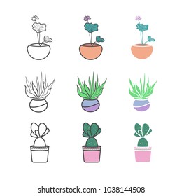 Home flowers in pots. Vector Illustration.