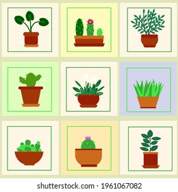 home flowers,vector illustration, minimalism, scandinavian style