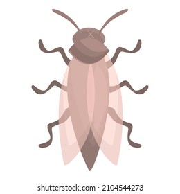 Home Fly Icon Cartoon Vector. House Bug. Housefly Drosophila