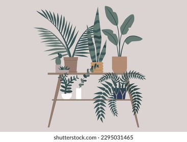 A home garden with beautiful plants, hipster lifestyle, a wooden shelf with pots on it