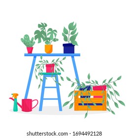 Home garden. Collection of colored flower botanical, bright flowerpot. Set of house plant with leaves, succulent cactus. Isolated elements on white background. Flat Vector Illustration