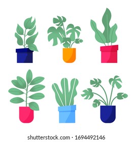 Home garden. Collection of colored flower botanical, bright flowerpot. Set of house plant with leaves, succulent cactus. Isolated elements on white background. Flat Vector Illustration