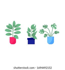 Home garden. Collection of colored flower botanical, bright flowerpot. Set of house plant with leaves, succulent cactus. Isolated elements on white background. Flat Vector Illustration