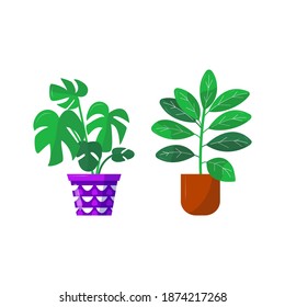 Home garden. Collection of colored flower botanical, bright flowerpot. Set of house plant with leaves, rubber plant; ficus; herb. Isolated elements on white background. Flat Vector Illustration