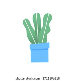 Home garden. colored flower botanical, bright flowerpot.  house plant with leaves, succulent cactus. Isolated element on white background. Flat Vector Illustration