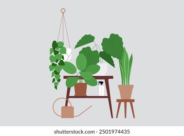 Home garden - different green plants in planters. Houseplants, lush foliage, pots, horticulture, wooden shelves, boho stool. Still life composition. Flat vector illustration