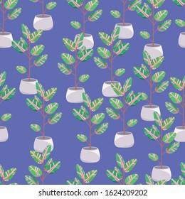 Home garden. Ficus trees with leaves with pink spots. Cute  house plants. Nature. Cartoon illustration. Seamless background with pattern.