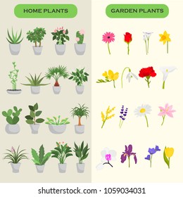 Home and garden flowers color flat icons set