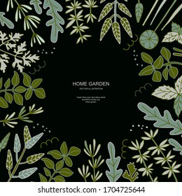 Home garden of fragrant herbs, illustration for a positive motivation of life. Fragrant herbs for tasty and healthy dishes.