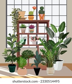 Home garden, green house, flower shop with plants growing in pots. Exotic houseplants on shelves and window. Monstera, Ficus, ZZ plant, succulents, cactuses . Trendy vector realistic illustration