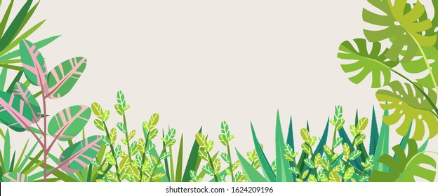 Home garden. Monstera, Dracaena, Ficus, Zamioculcas, Aloe vera. Palm trees and succulents. Cute  house plants. Nature. Cartoon illustration. Advertising web banner with empty space for text