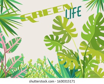 Home garden. Monstera, Dracaena, Ficus, Zamioculcas, Aloe vera. Palm trees and succulents. Cute  house plants. Nature. Cartoon illustration. 