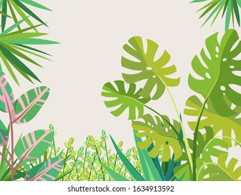 Home garden. Monstera, Dracaena, Ficus, Zamioculcas, Aloe vera. Palm trees and succulents. Cute  house plants. Nature. Cartoon illustration. 